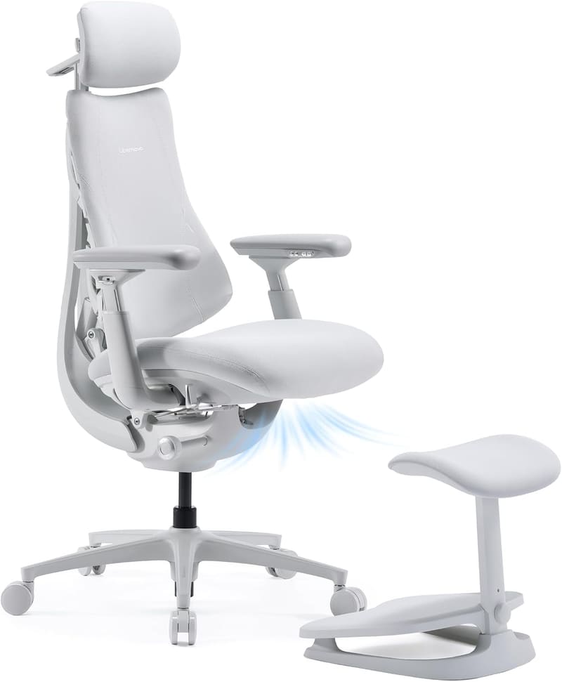 LiberNovo Omni PRO ergonomic office chair with built-in fan